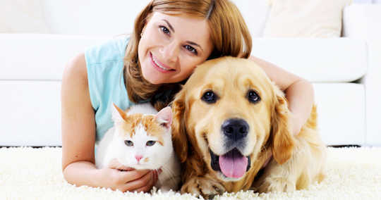 How Animal Abuse Varies By People’s Relationship To The Pet How Animal Abuse Varies By People’s Relationship To The Pet